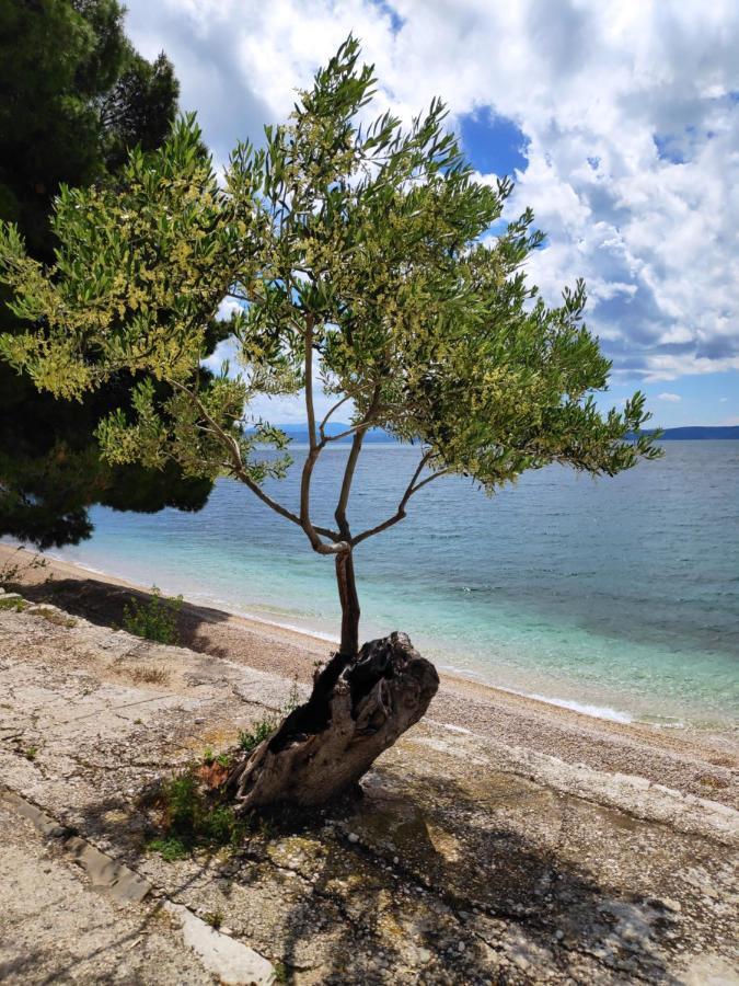 Apartments Coast 27 Podgora Dış mekan fotoğraf